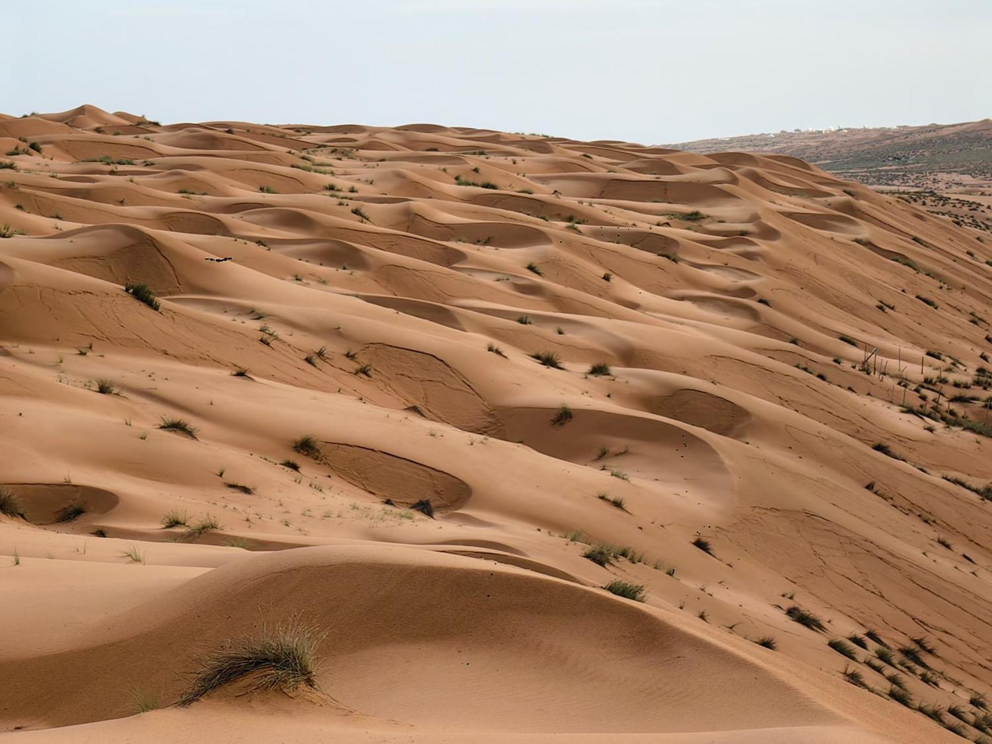 Desert Rose Camp Badīyah Eksteriør bilde